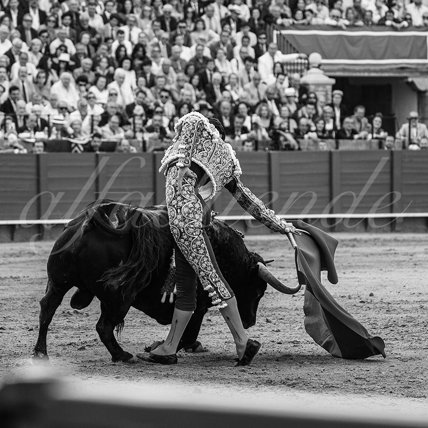 20240417 sevilla 021 bd