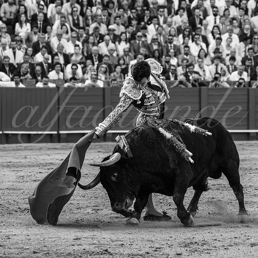 20240417 sevilla 020 bd