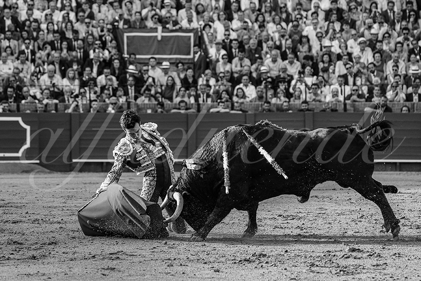 20240417 sevilla 019 bd