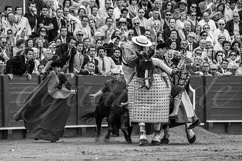 20240417 sevilla 018 bd