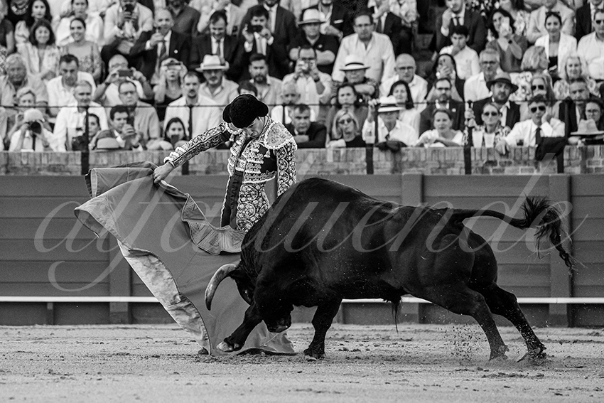 20240417 sevilla 017 bd