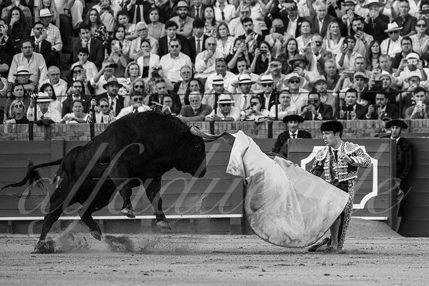 20240417 sevilla 016 bd