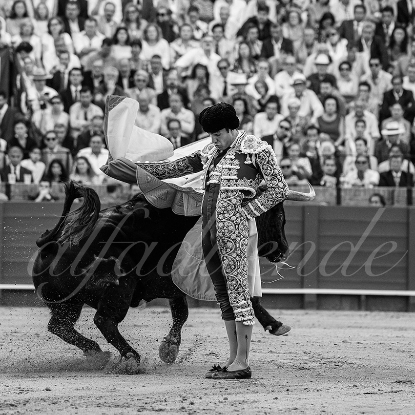 20240417 sevilla 015 bd