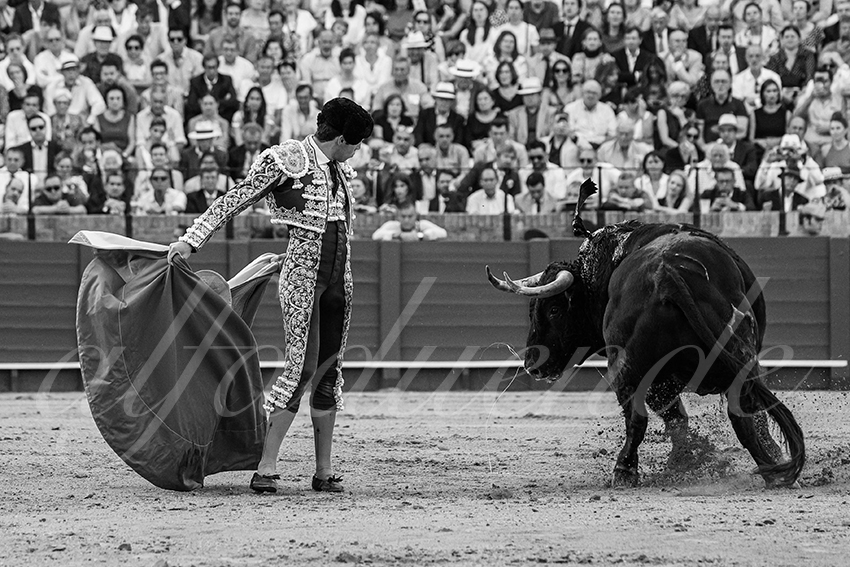 20240417 sevilla 013 bd