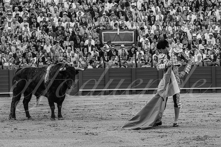 20240417 sevilla 012 bd