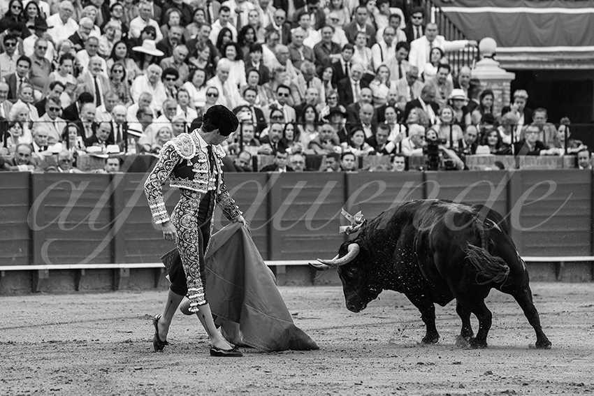 20240417 sevilla 011 bd