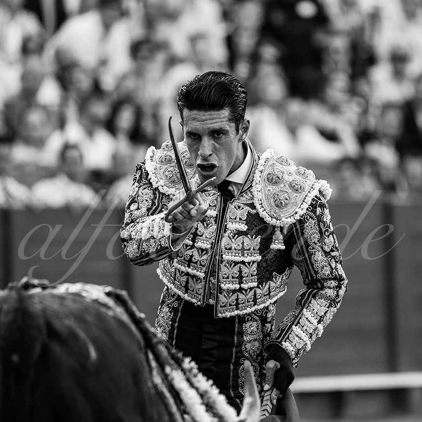 20240417 sevilla 009 bd