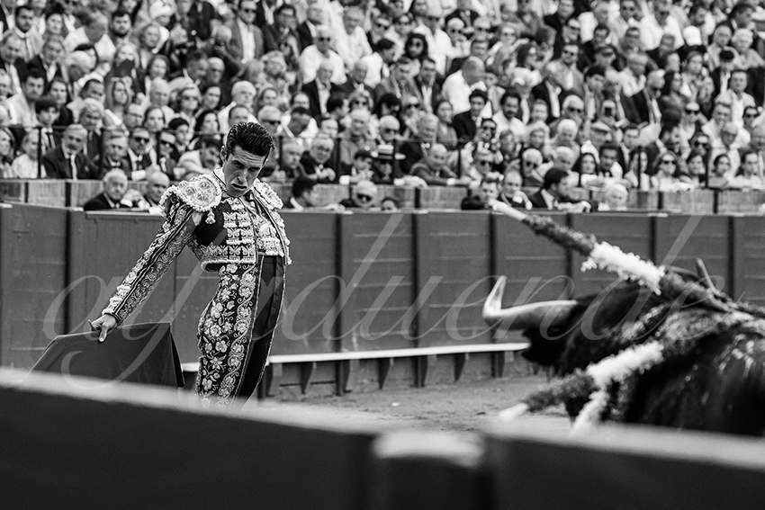 20240417 sevilla 008 bd