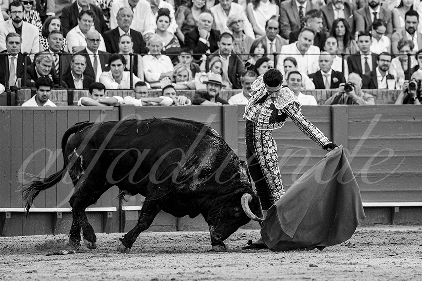 20240417 sevilla 007 bd