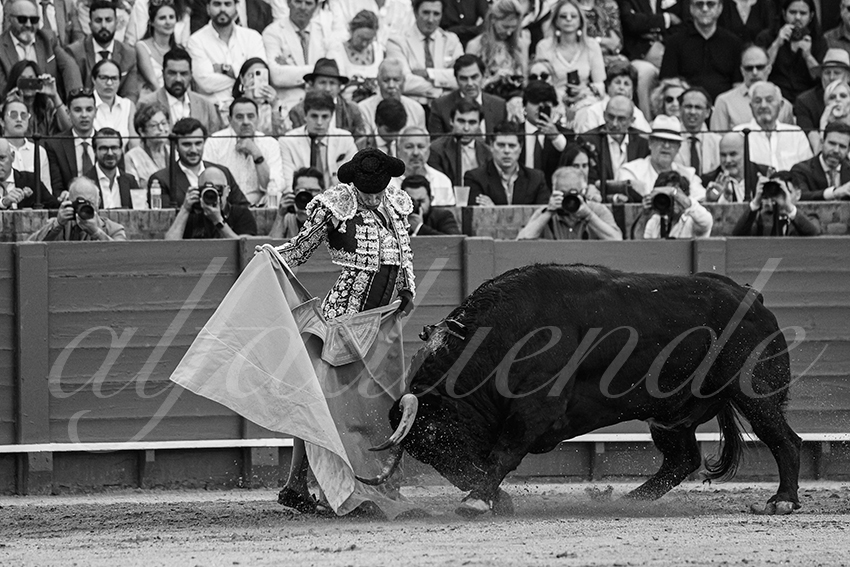 20240417 sevilla 006 bd