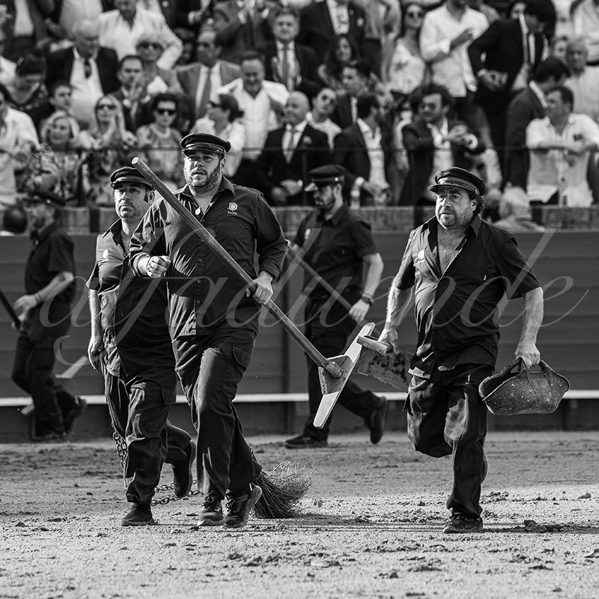 20240417 sevilla 005 bd