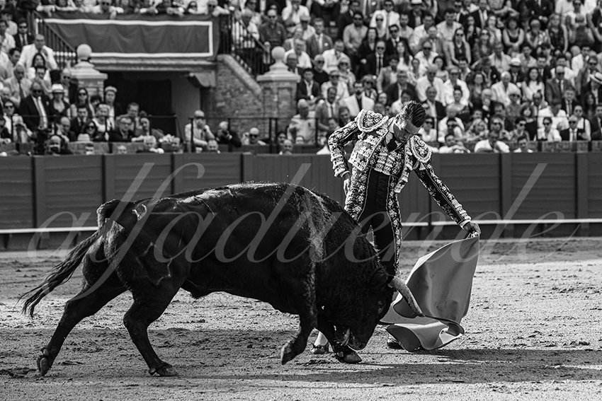 20240417 sevilla 004 bd