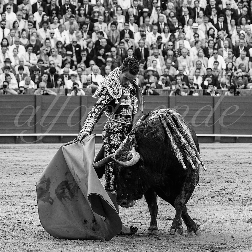 20240417 sevilla 003 bd