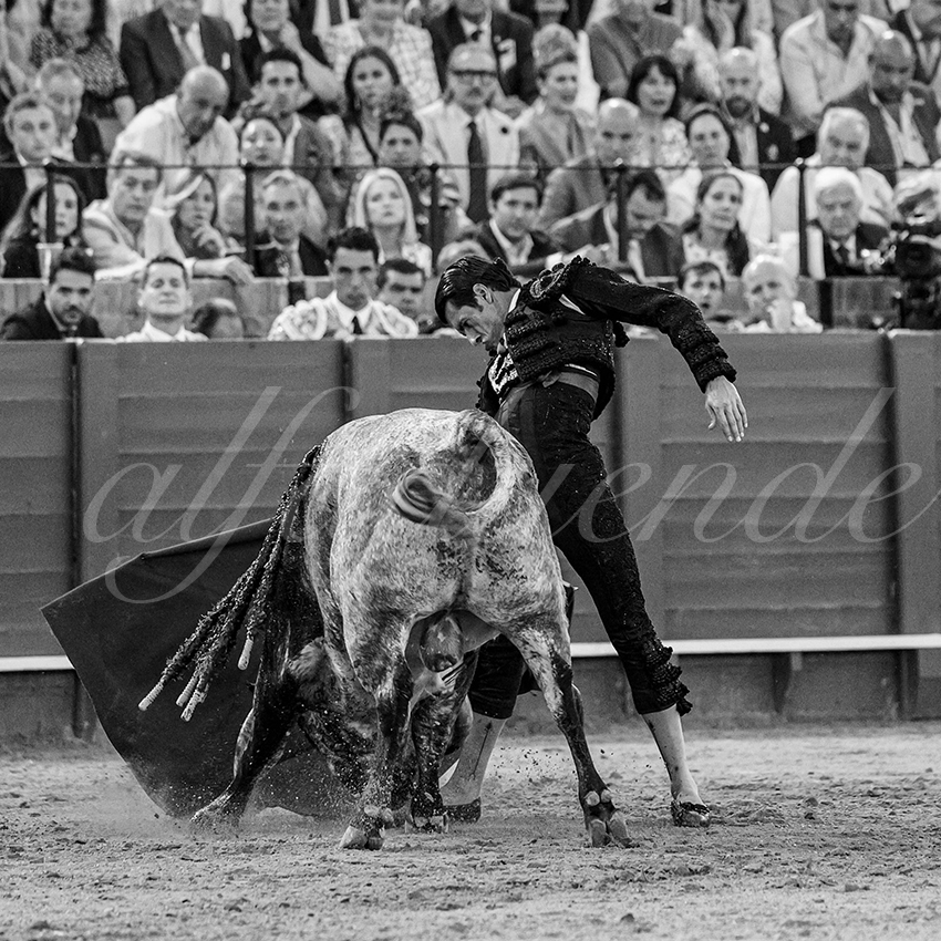 20240418 sevilla 037 bd