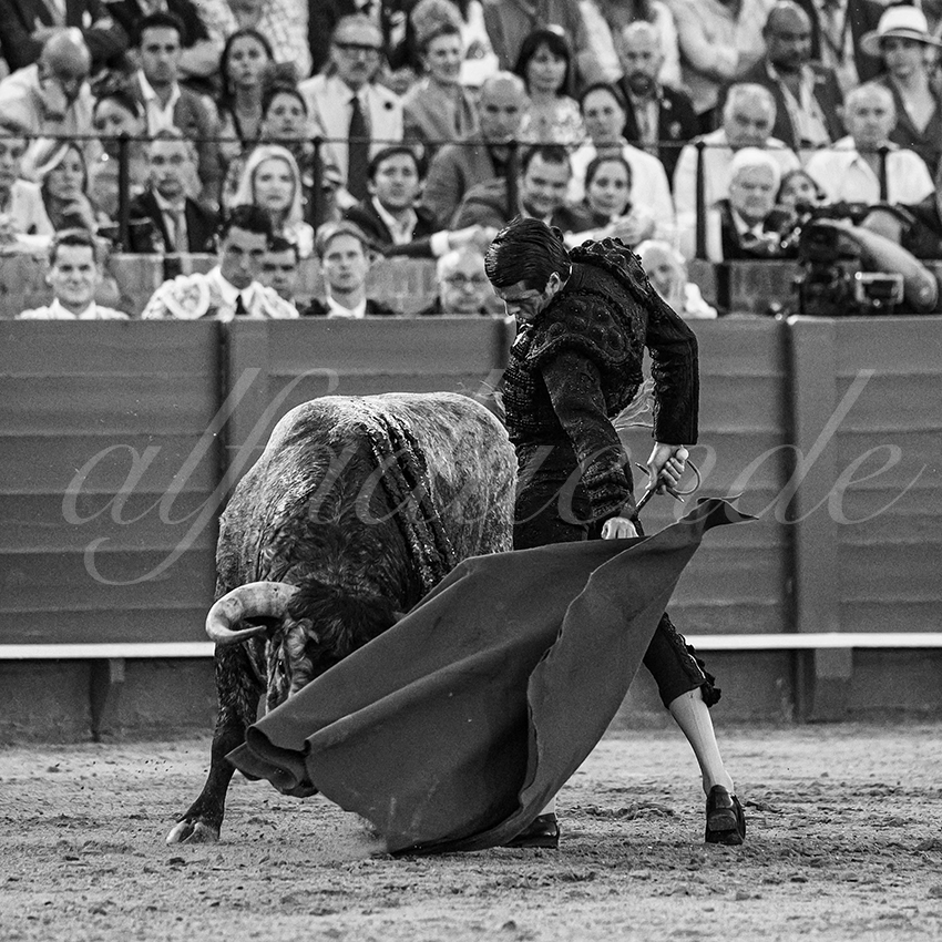 20240418 sevilla 036 bd