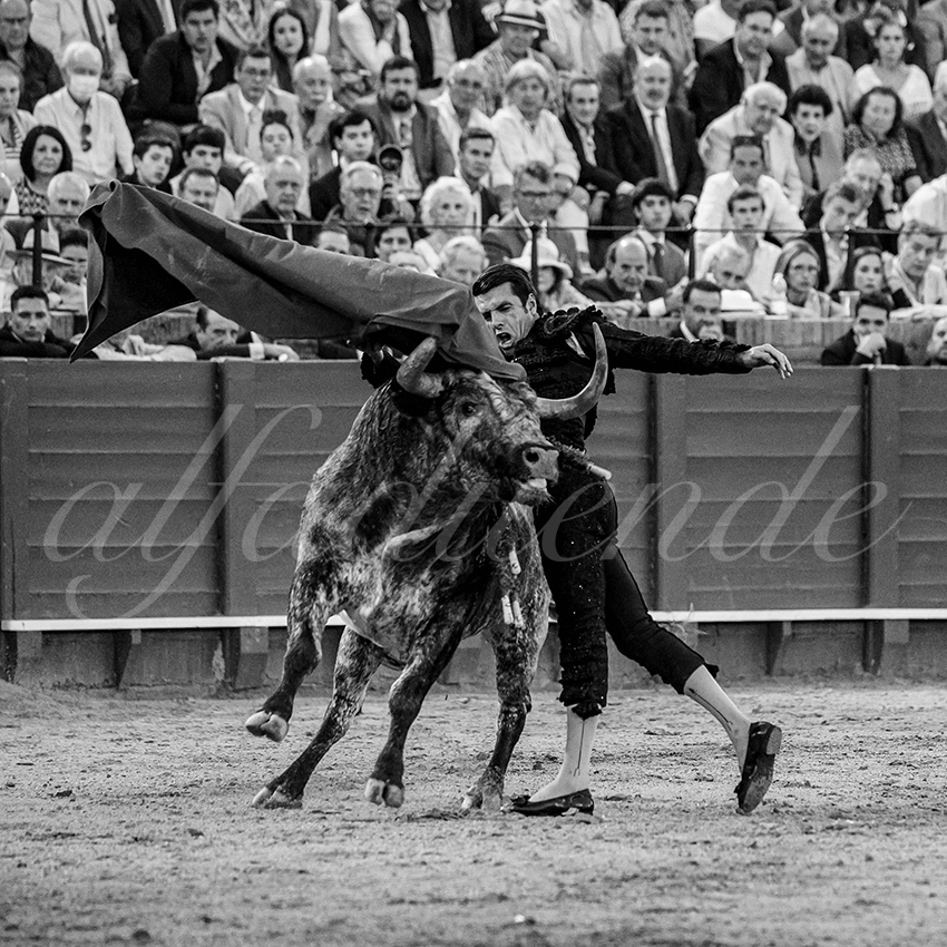 20240418 sevilla 035 bd