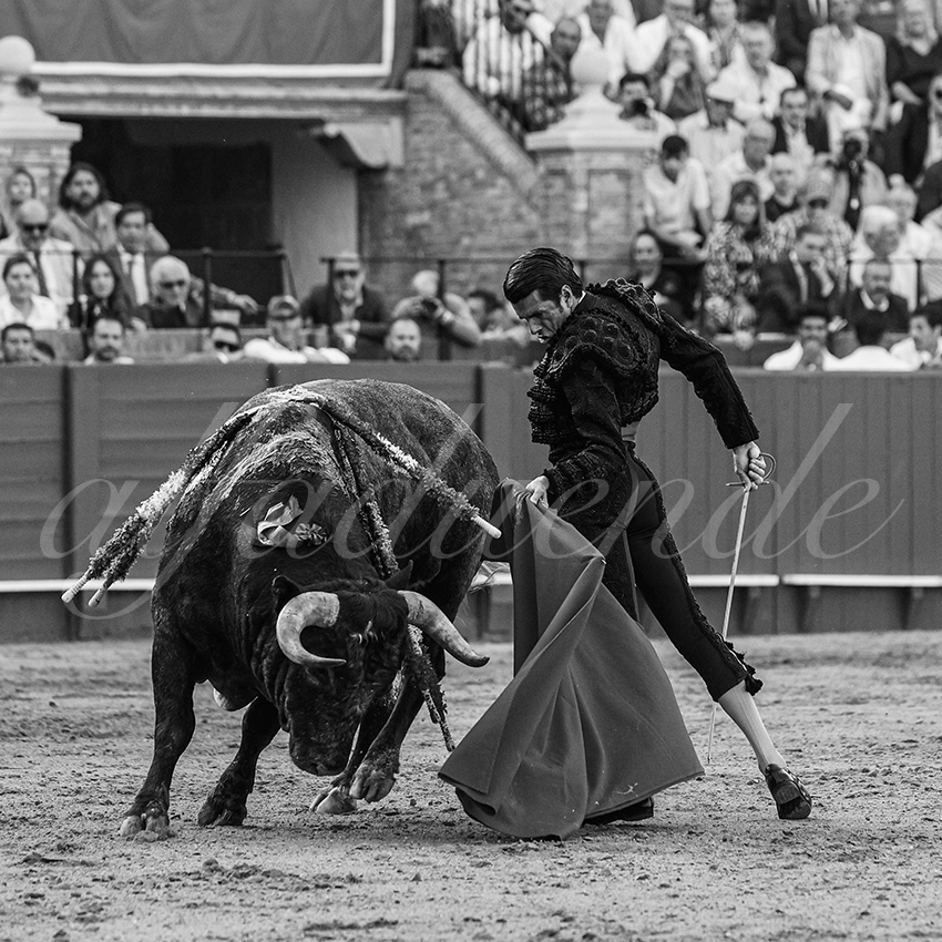 20240418 sevilla 034 bd