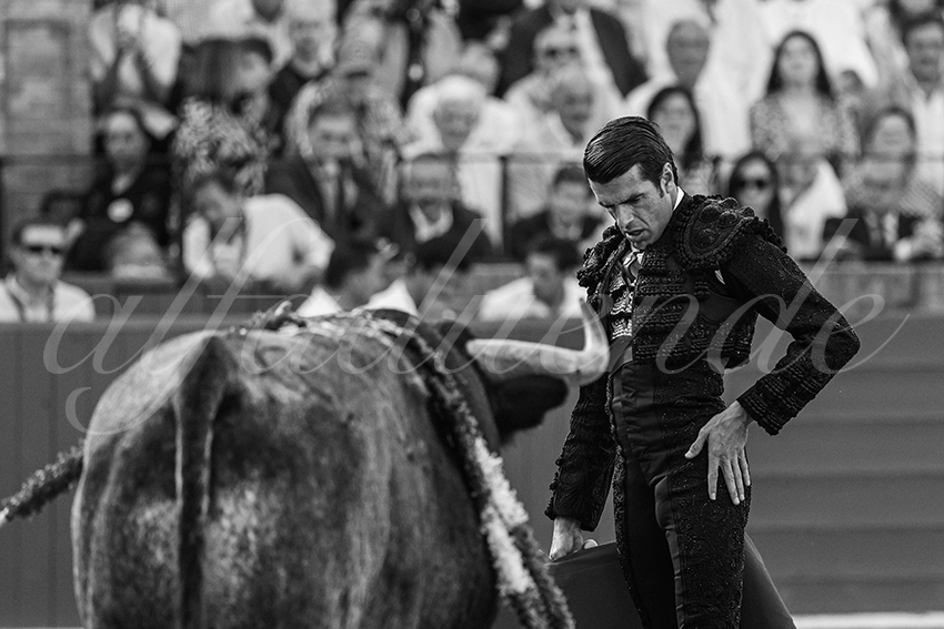 20240418 sevilla 033 bd