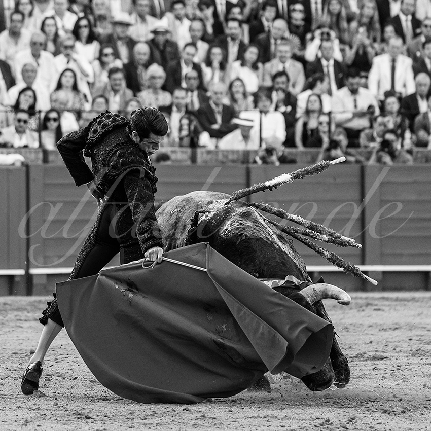 20240418 sevilla 032 bd