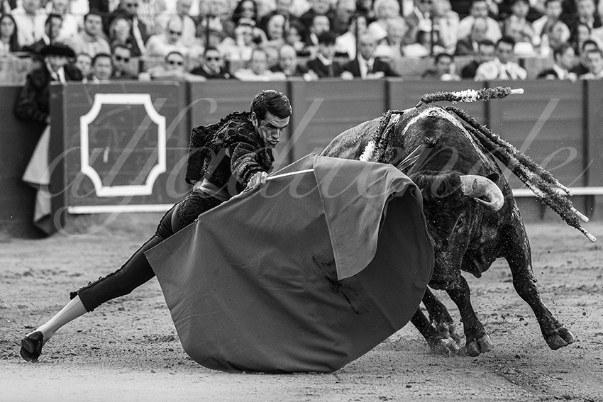 20240418 sevilla 031 bd