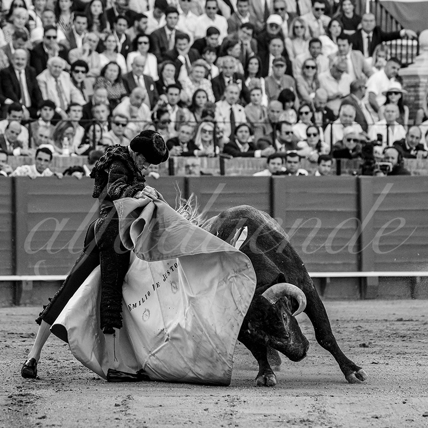 20240418 sevilla 030 bd