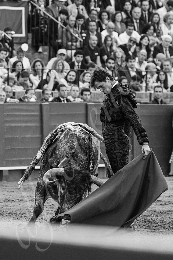 20240418 sevilla 029 bd