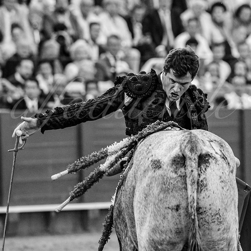 20240418 sevilla 028 bd