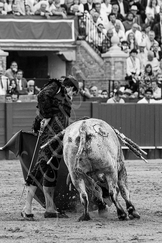 20240418 sevilla 027 bd