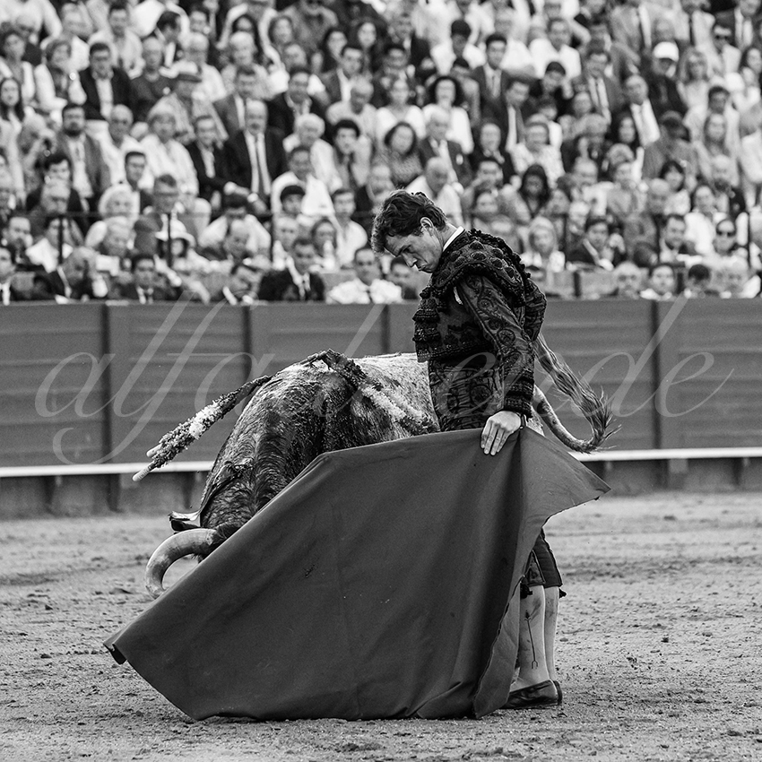 20240418 sevilla 026 bd