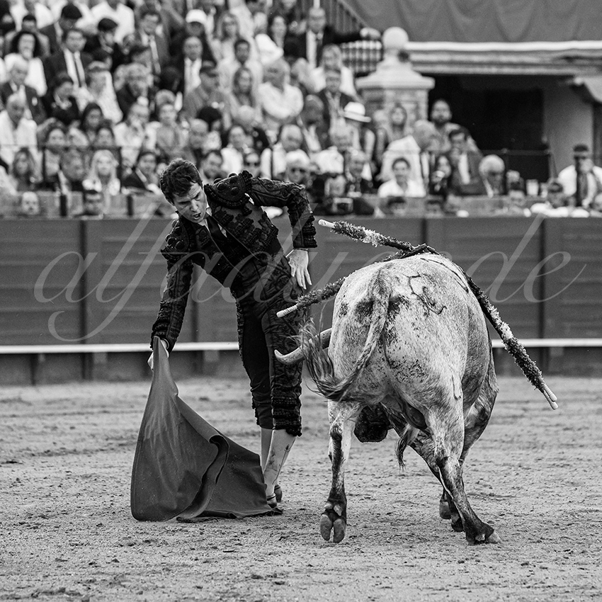 20240418 sevilla 025 bd