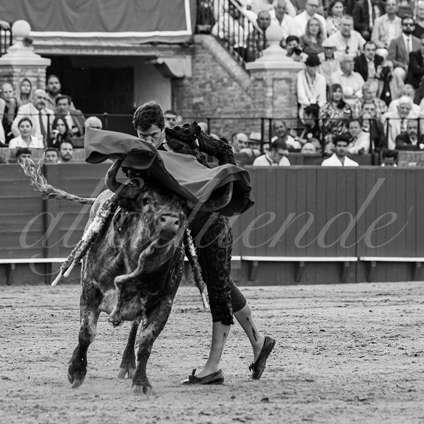 20240418 sevilla 024 bd