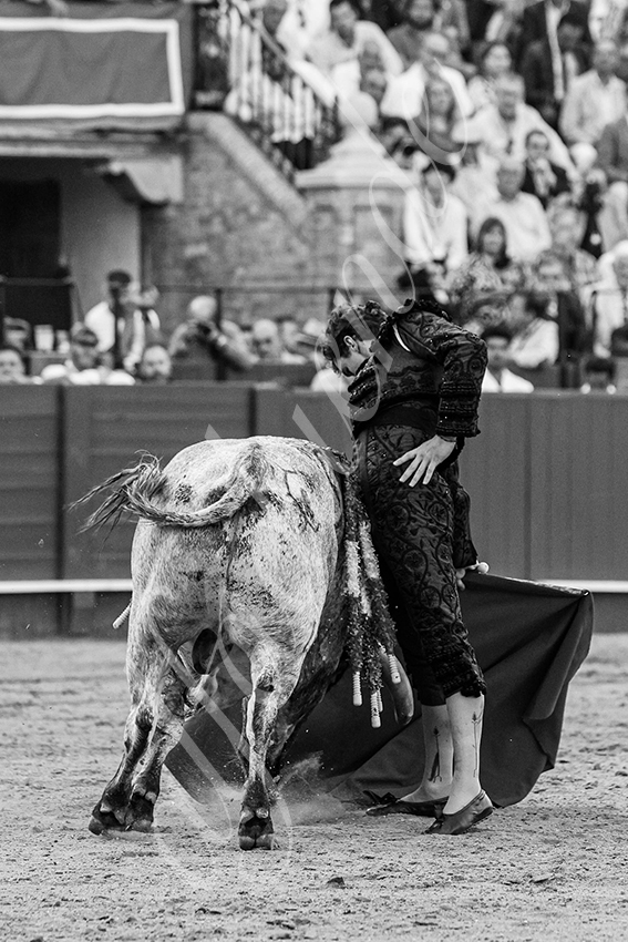 20240418 sevilla 023 bd