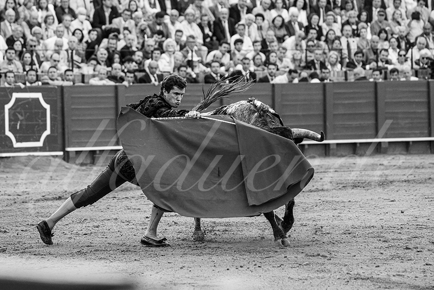 20240418 sevilla 022 bd