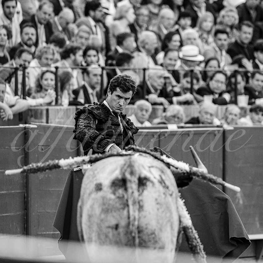 20240418 sevilla 021 bd