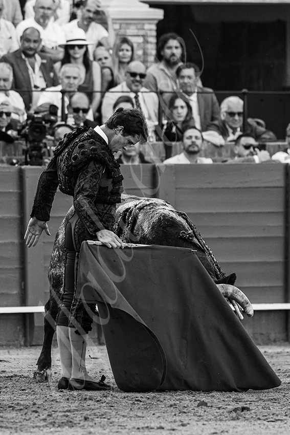 20240418 sevilla 020 bd