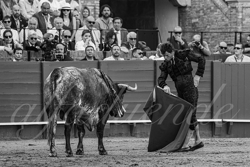 20240418 sevilla 019 bd