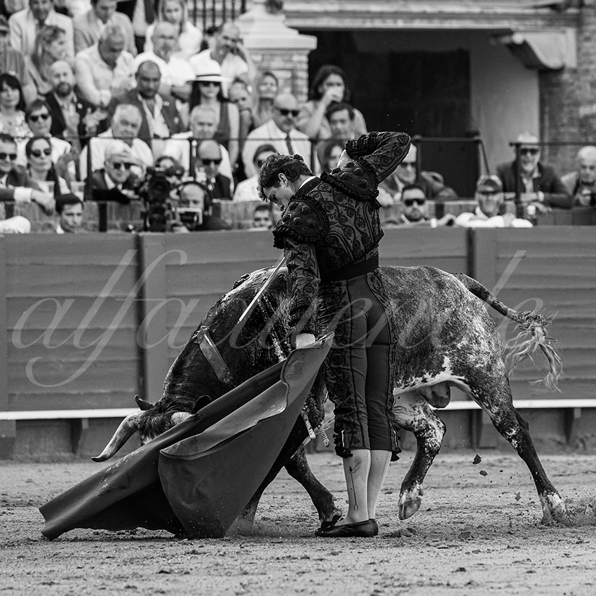 20240418 sevilla 018 bd