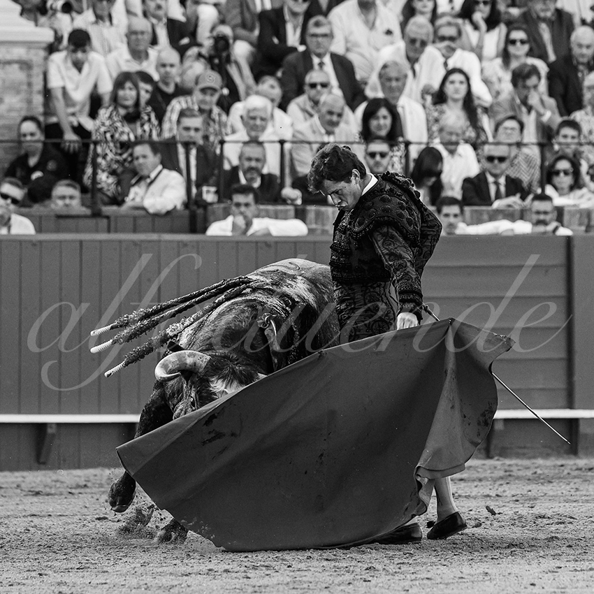 20240418 sevilla 017 bd