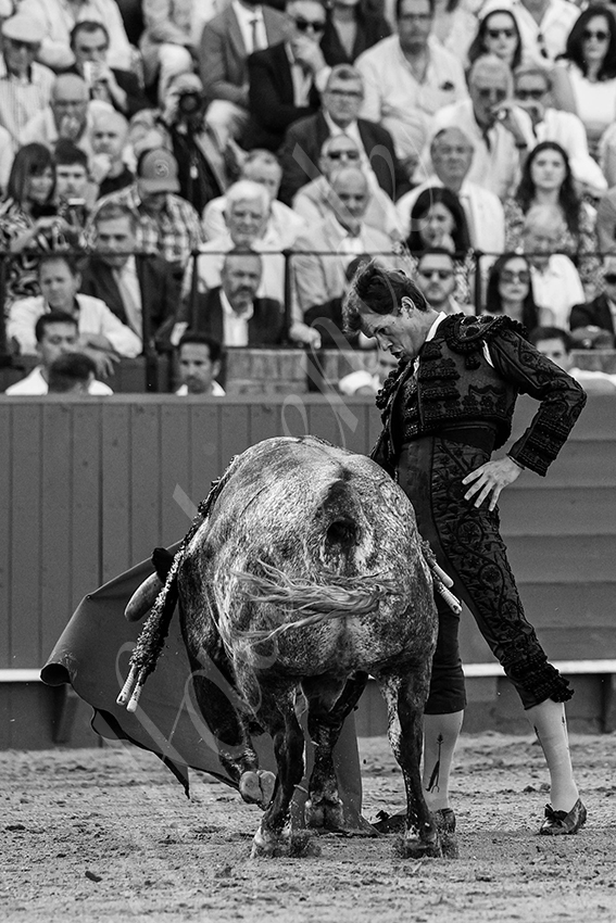 20240418 sevilla 016 bd