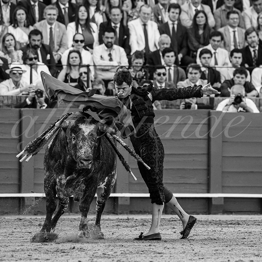 20240418 sevilla 015 bd