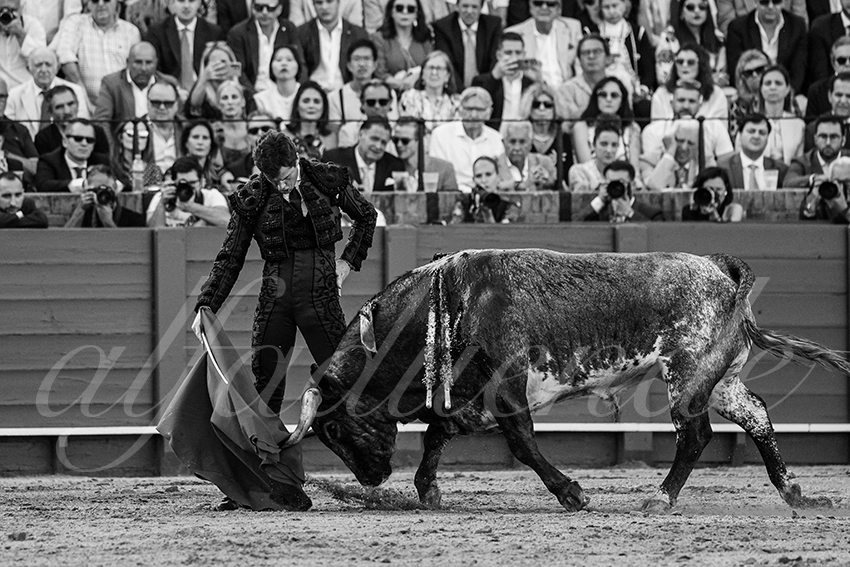 20240418 sevilla 014 bd