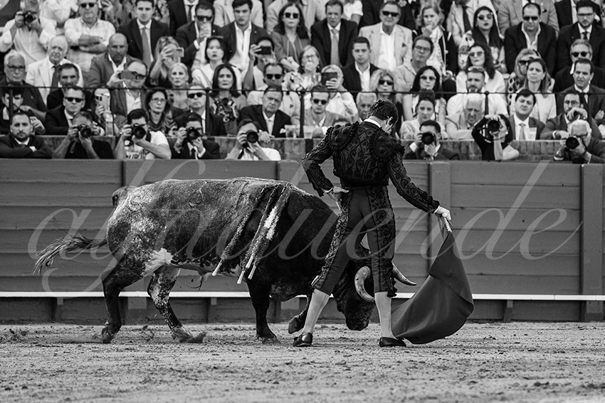 20240418 sevilla 013 bd