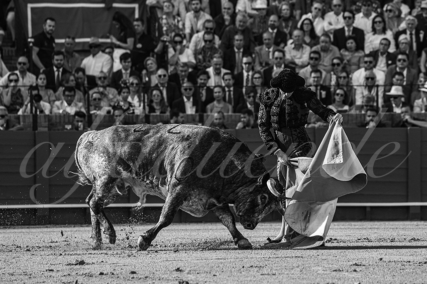 20240418 sevilla 012 bd