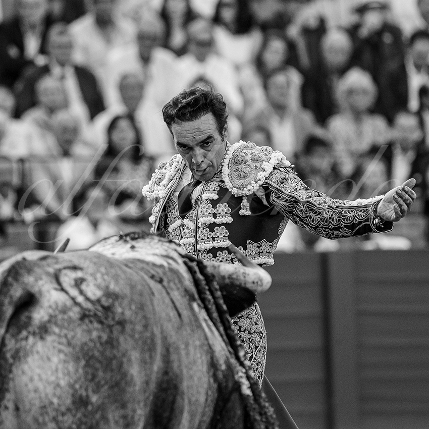 20240418 sevilla 010 bd