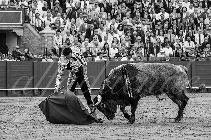 20240418 sevilla 009 bd