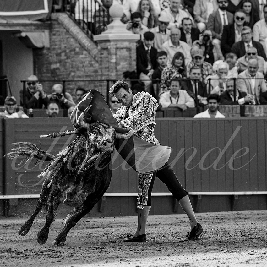 20240418 sevilla 007 bd