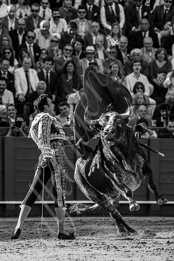 20240418 sevilla 006 bd