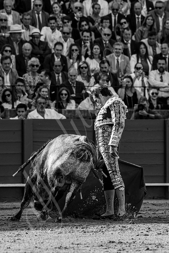 20240418 sevilla 005 bd