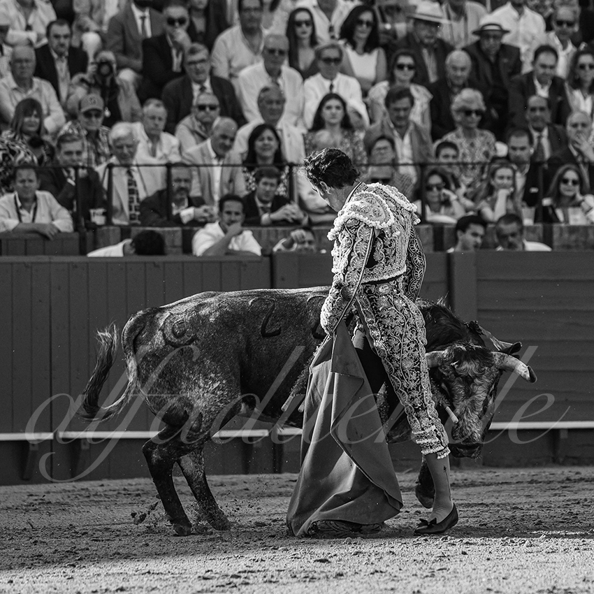 20240418 sevilla 004 bd