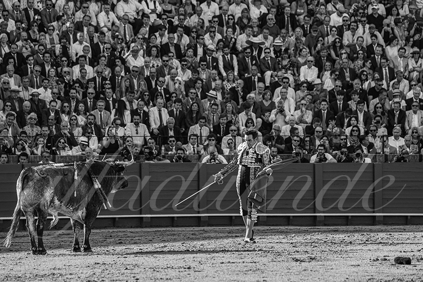 20240418 sevilla 003 bd